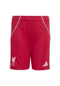 Röda sportshorts från Liverpool FC med vit kant, klubbens emblem på vänster ben och Adidas-logotyp på höger ben, elastisk midja.