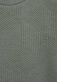 WE Fashion BLUE RIDGE - Mikina - olive green