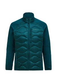 Non sélectionné, ponderosa pine