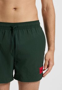 Costumi da bagno verdi con vita elastica, cordino e un'etichetta rettangolare rossa. Tessuto liscio e leggero con vestibilità rilassata.