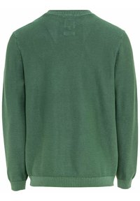 Green knit sweater featuring a ribbed crew neckline and cuffs, with a textured surface and a relaxed fit. Plain back with no additional details.