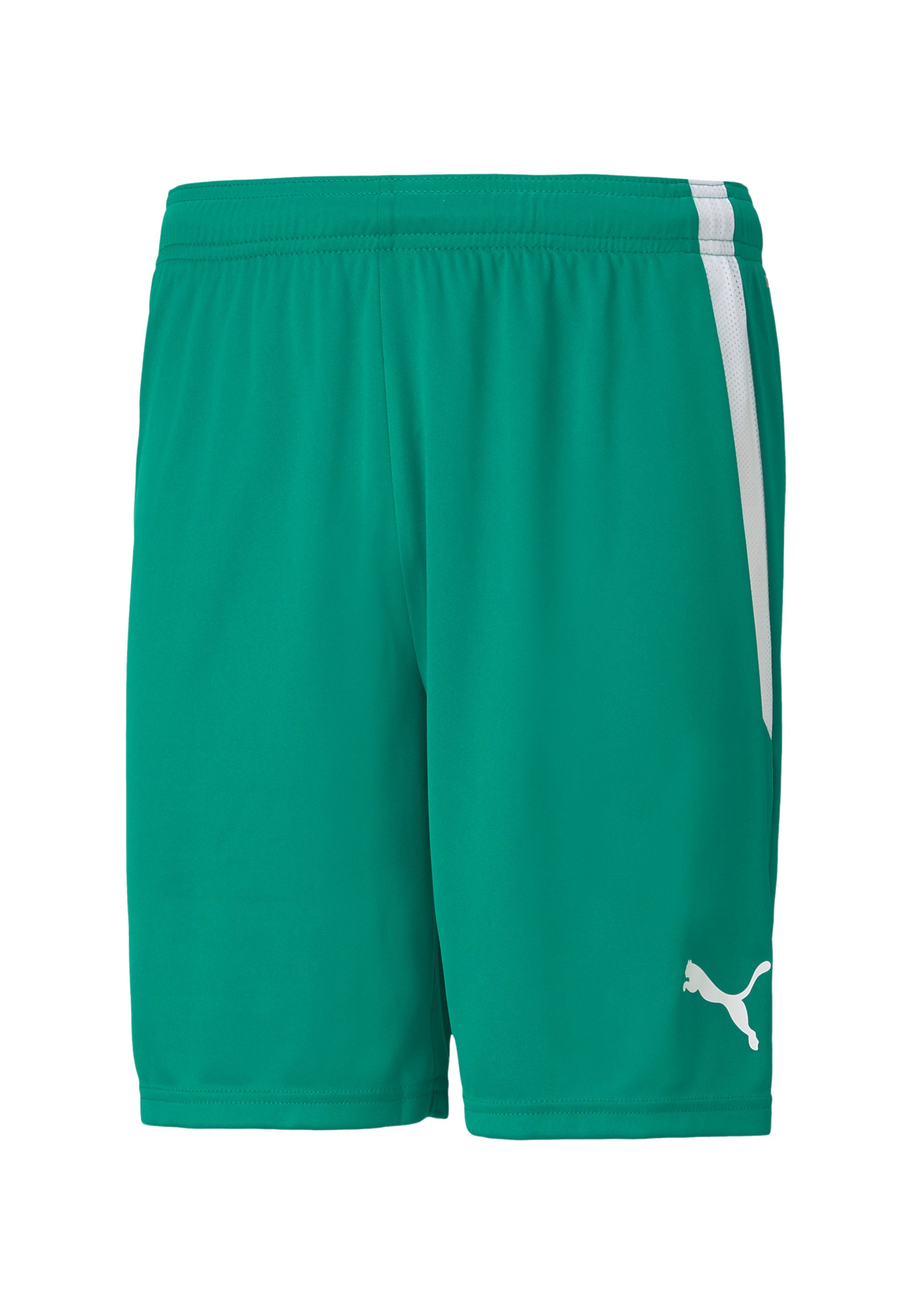 Puma TEAMLIGA FOOTBALL Shorts gruenweiss/green Zalando