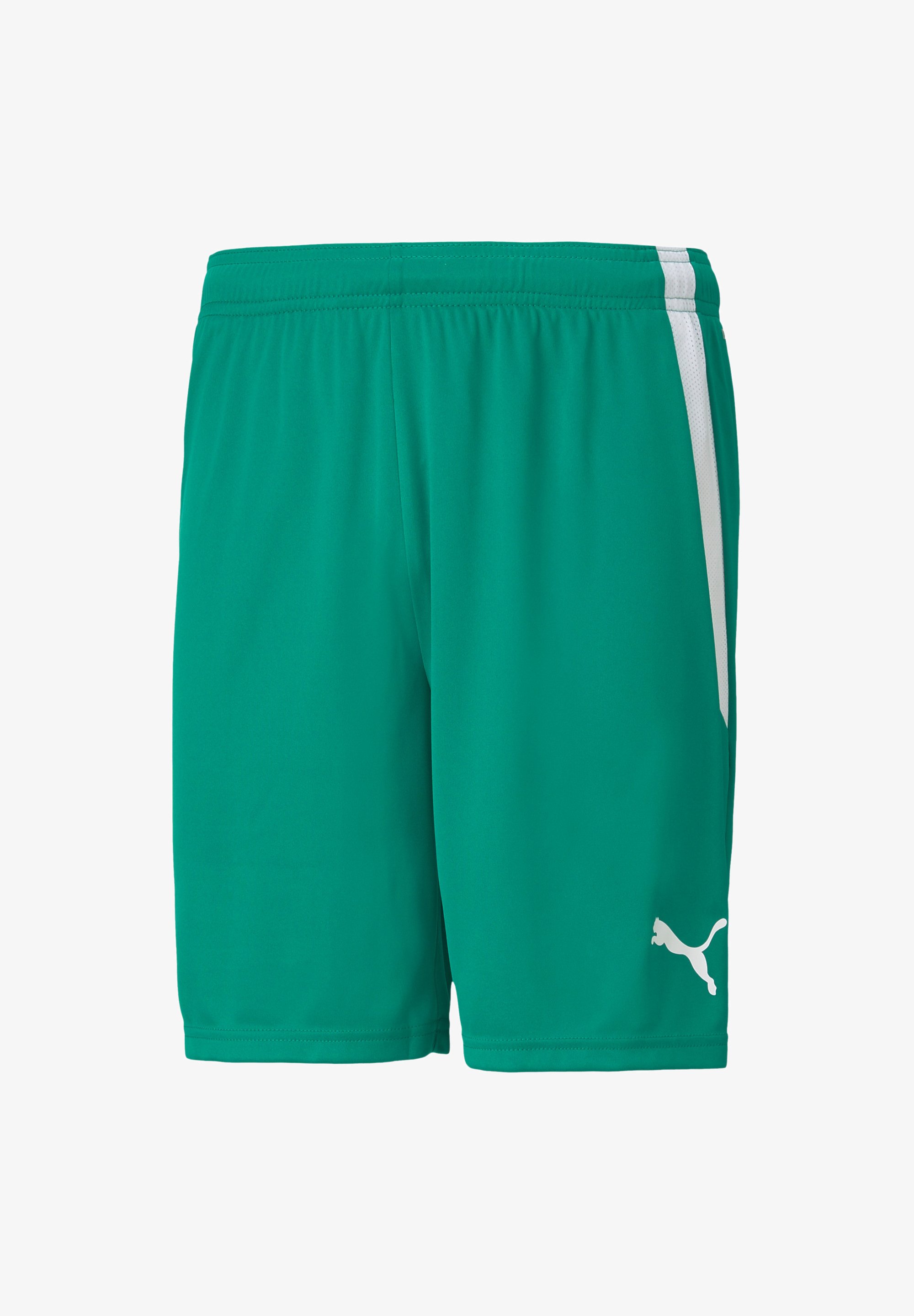 Puma TEAMLIGA FOOTBALL Shorts gruenweiss/green Zalando