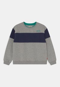 Grauer Pullover mit horizontalen Streifen in Marineblau und Dunkelgrau. Verfügt über einen grünen Kragen und das Levi's-Logo in Türkis auf der Vorderseite. Rippbündchen und Saum.