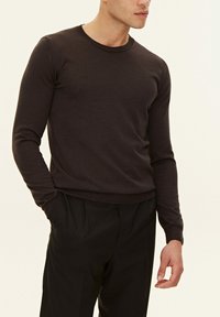 Oscar Jacobson MIGUEL ROUNDNECK - Maglione - brown flannel
