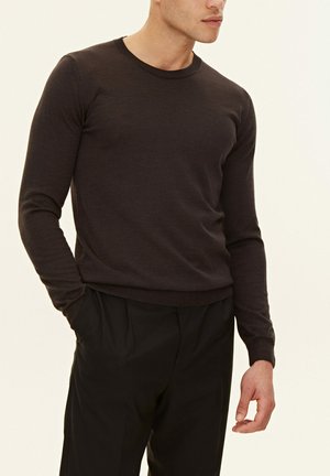 MIGUEL ROUNDNECK - Maglione - brown flannel