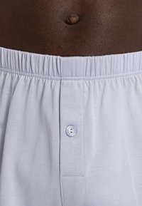 Hanro Boxershorts - fresh air