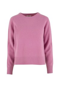 Rosa Strickpullover mit geripptem Saum, langen Ärmeln und rundem Halsauschnitt. Weiche Textur, gleichmäßige Oberfläche und keine auffälligen Muster oder Akzente.