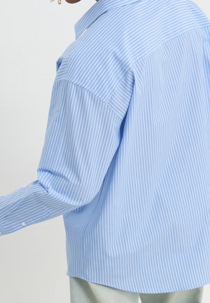 Person wearing a light blue and white vertically striped long-sleeve shirt with buttoned cuffs, viewed from the back and side.