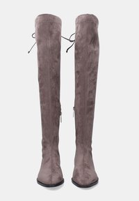 Botas de ante suave en color topo hasta la rodilla, con puntera puntiaguda, que cuentan con cremalleras laterales y lazos ajustables en la parte superior. Suela plana negra.