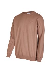 Brown long-sleeve sweatshirt made of soft cotton, featuring a crew neckline and a small logo embroidered on the chest.