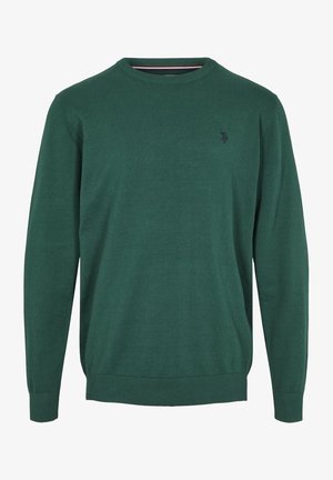 Grüner Strickpullover mit Rundhalsausschnitt, langen Ärmeln, gerippten Bündchen und kleinem Logo auf der Brust. Glatte Textur, lässiges Design.