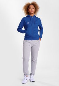 Blauwe rits-trui met capuchon en logo, gecombineerd met lichtgrijze joggingbroeken. Model draagt witte sportschoenen. Soepele stof, casual ontwerp.
