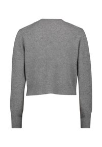 Pull gris court avec des manches longues, fabriqué en matière tricotée douce. Présente un design simple et une texture lisse sans embellissements.