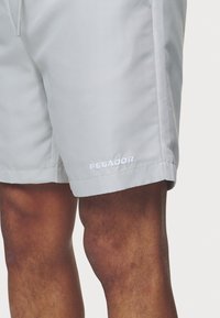 Pegador LOGO SWIM - Plaukimo šortai - pearl grey
