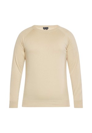 CO-BRANDED WITH BOLINE - Strickpullover - beige