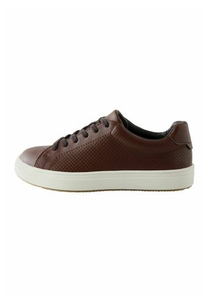 Next, REGULAR FIT - LACE-UP SMART TRAINERS - Sneaker low - tan brown