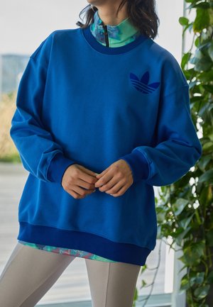 Person iført en blå Adidas sweatshirt over en flerfarvet lynlåstrøje med beige bukser, står indenfor nær en grøn plante.