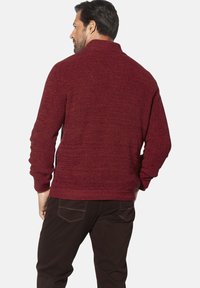 Burgunderfarbener Strickpullover mit hohem Kragen, gerippter Textur und langen Ärmeln, kombiniert mit dunkelbraunen Hosen. Die Rückansicht zeigt das taillierte Design.