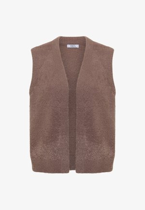 Brown sleeveless knitted vest with V-neck and ribbed trim, labeled "CECIL," displayed on a white background.
