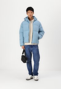 Jack & Jones JORVESTERBRO PUFFER JACKET  - Vinterjakker - mountain spring