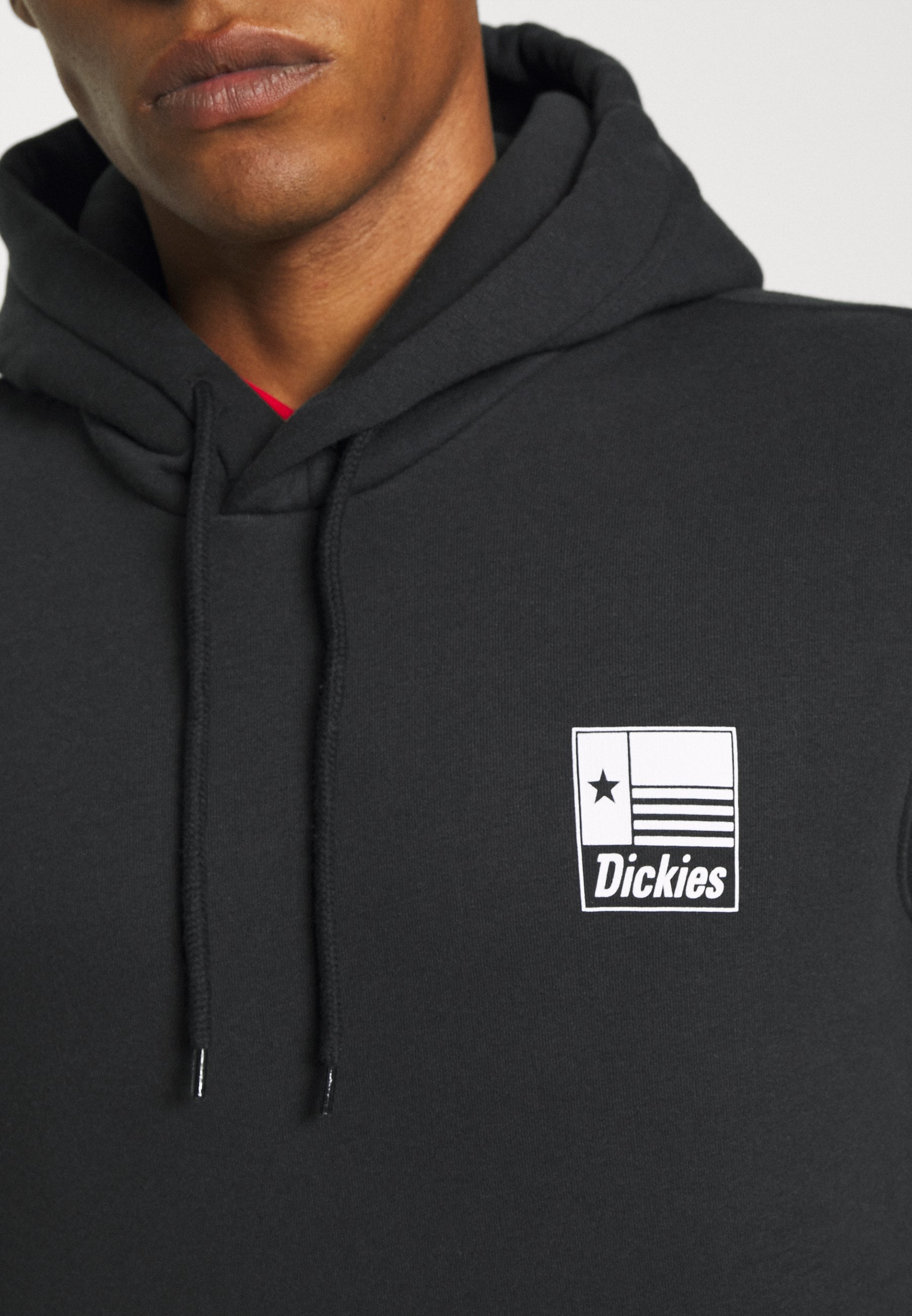 Dickies TAYLOR HOODIE - Sweatshirt 