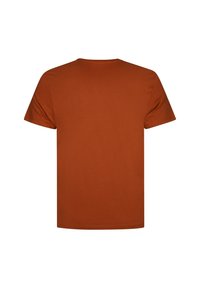 Petrol Industries 3 PACK SPECIAL - T-shirt basic - white chili bottle