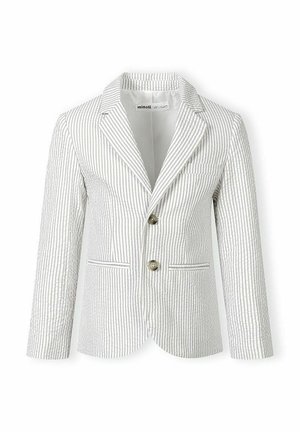 Biały i szary marynarka z pionowymi paskami, z klapami z wycięciem, dwoma guzikami z przodu oraz dwoma bocznymi kieszeniami, przedstawiona na białym tle.
