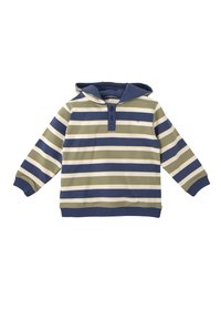 Sudadera a rayas con capucha azul marino. Presenta rayas horizontales en verde, blanco y azul, tres botones en el cuello y puños y dobladillo acanalados.