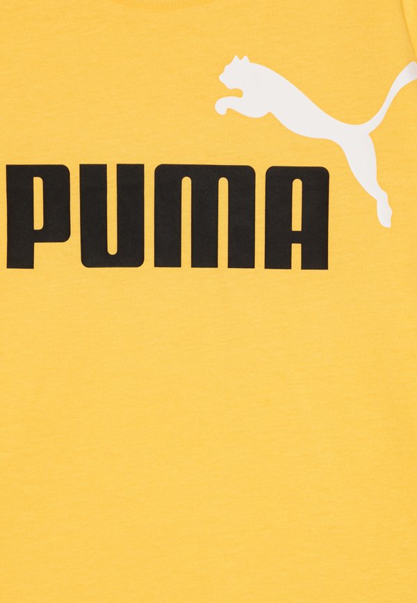 2 COLOR NO 1 LOGO TEE - Print T-shirt3