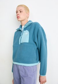 Blue fleece pullover with a half-zip closure, contrasting light blue pocket, and ribbed hem; features a logo on the left chest.
