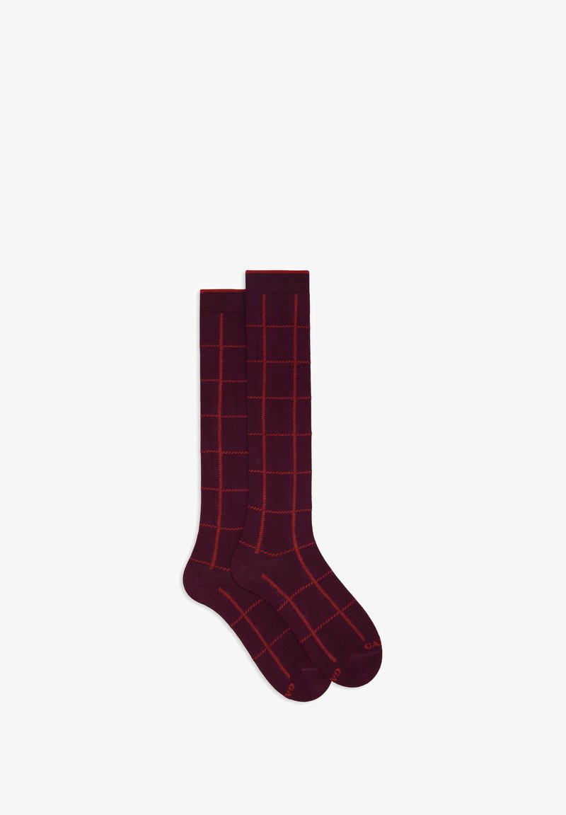 Ein Paar knielanger weinroter Socken mit rot kariertem Muster auf weißem Hintergrund ausgelegt.
