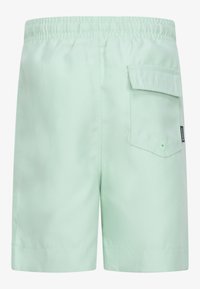 Heledad rohelised lühikesed püksid, mis on valmistatud siledast kangast, millel on elastne vöökoht ja küljetasku. Lühikeste pükste disain on lihtne, ilma mustriteta.