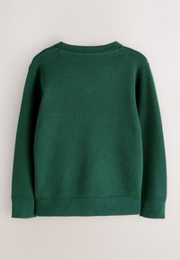 Grüner Baumwollstrickpullover mit rundem Ausschnitt, gerippten Bündchen und Saum. Die Rückseite hat eine glatte Struktur und ein schlichtes Design ohne Verzierungen.