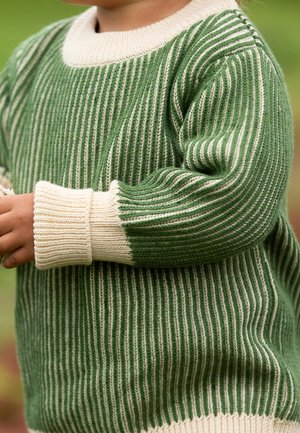 Little Green Radicals, STRIPED - Jumper - green