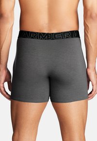 Sive bokserice iz gladkega, elastičnega materiala. Imajo širok črn pas z odtisnjenim napisom "ARMOUR" v debelih črkah.