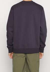 Purple sweatshirt with a round neck, long sleeves, and ribbed cuffs. Smooth texture, relaxed fit, and plain back design. Worn with olive cargo pants.