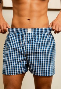 Boxer blu e bianchi a quadretti con cintura elastica, dotati di un bottone frontale e un'etichetta del marchio in vita.