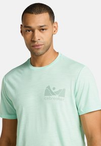 Camiseta de manga corta en color verde menta claro, hecha de una tela suave, con un sutil logo de montaña en el centro. Diseño clásico de cuello redondo.