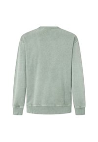 Gai zaļš, apļa kakla džemperis, izgatavots no mīksta auduma, ar ribotu piedurkņu un apakšdaļas apdari, gluda tekstūra un minimāls dizains aizmugurē.