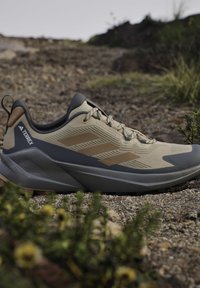 Lysebrun og grå Adidas Terrex terrænløbesko placeret på klippefyldt, ujævnt udendørs terræn med små planter i nærheden.