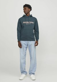 Jack & Jones JORLAKEWOOD HOOD - Felpa con cappuccio - magical forest