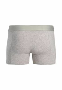 Ανοιχτό γκρι ανδρικά μπόξερ με φαρδύ, μονόχρωμο γκρι λάστιχο στη μέση, εμφανιζόμενα από πίσω σε λευκό φόντο.