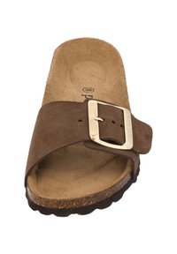 Sandale à glissière en daim marron avec une boucle dorée, semelle intérieure ergonomique et semelle en caoutchouc texturé, taille notée comme 36 sur la semelle intérieure.