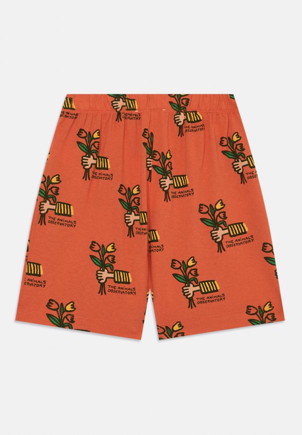 MOLE BERMUDA UNISEX - Shorts2