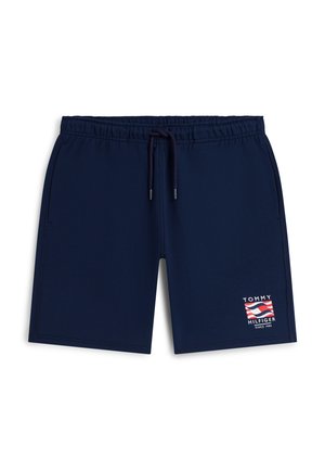 Tommy Hilfiger, BOX FLAG AMERICANA CAPSULE - Pantalon de survêtement - carbon navy