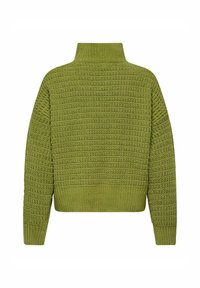 Groene gebreide trui met een hoge kraag, textuurpatroon en ribbelzoom. Cropped ontwerp met lange mouwen en zachte stof.