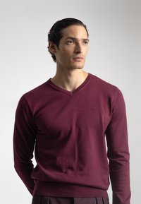 Suéter burdeos de cuello en V, hecho de una suave tela de punto, con mangas largas y un pequeño logotipo bordado en el pecho. Textura suave.