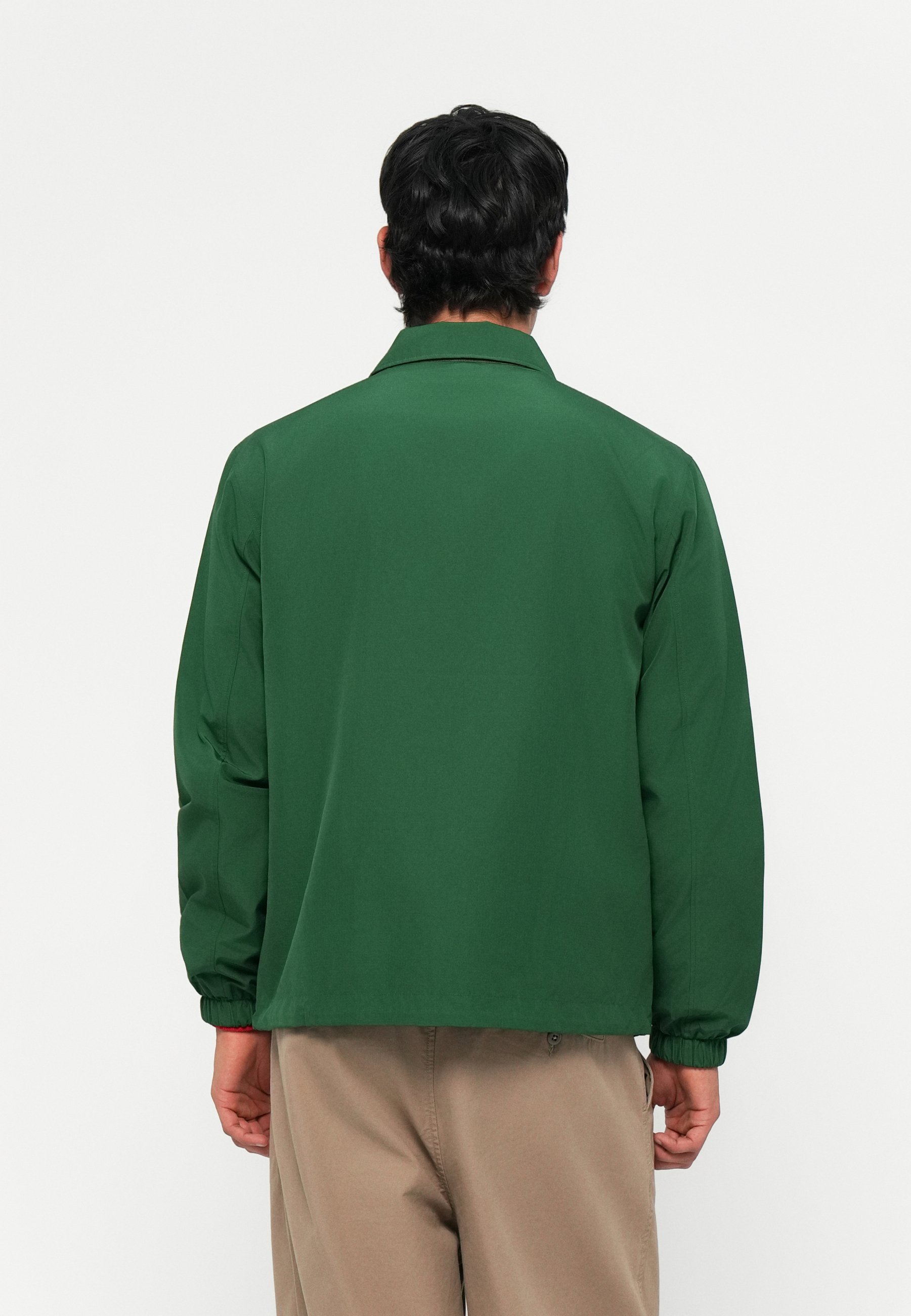 Lacoste Light jacket - green - Zalando