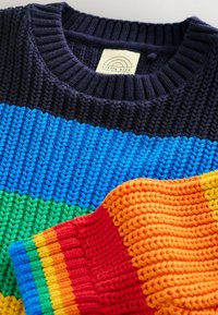 Maglione lavorato a maglia con strisce blu navy, blu, verde, arancione e giallo. Tessuto texture con colletto a costine e etichetta con la scritta "Little Bird."